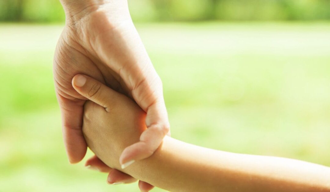 NC Divorce: What Happens After Temporary Custody Is Granted?